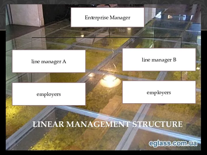 LINEAR MANAGEMENT STRUCTURE Enterprise Manager line manager A line manager B employers employers