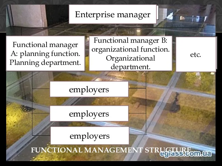 FUNCTIONAL MANAGEMENT STRUCTURE Enterprise manager Functional manager A: planning function.