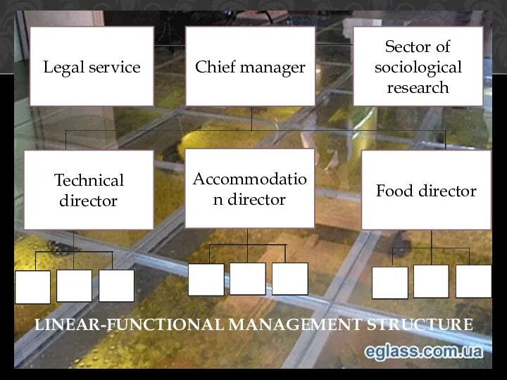 LINEAR-FUNCTIONAL MANAGEMENT STRUCTURE Legal service Chief manager Sector of sociological