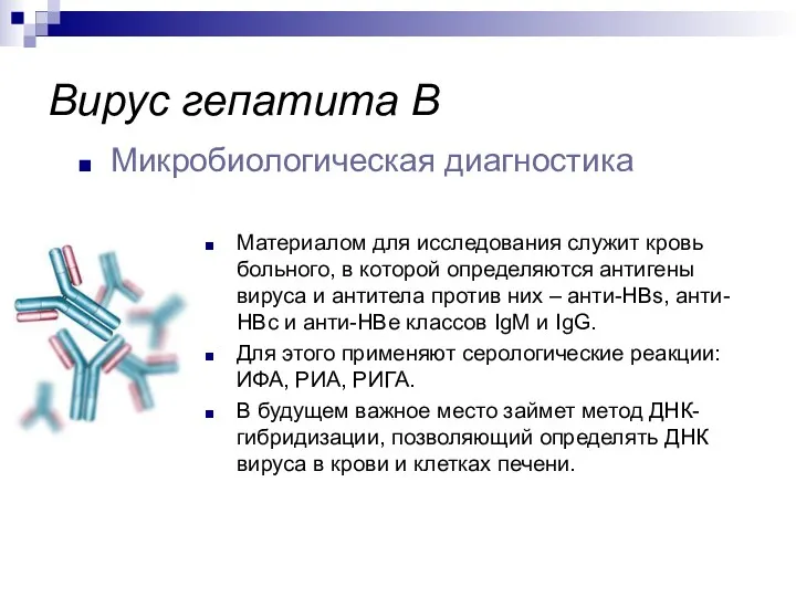 Микробиологическая диагностика Вирус гепатита В Материалом для исследования служит кровь