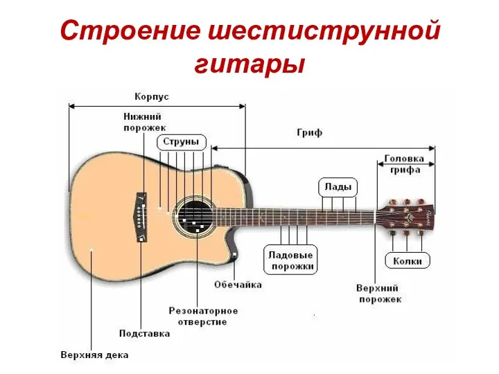 Строение шестиструнной гитары
