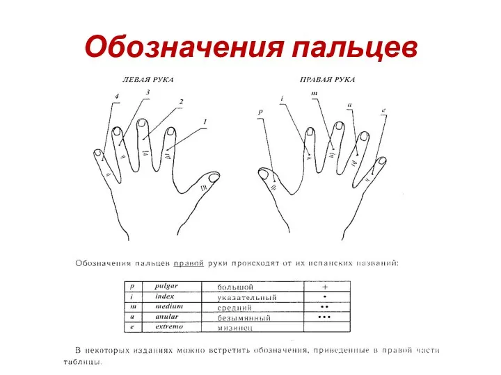 Обозначения пальцев