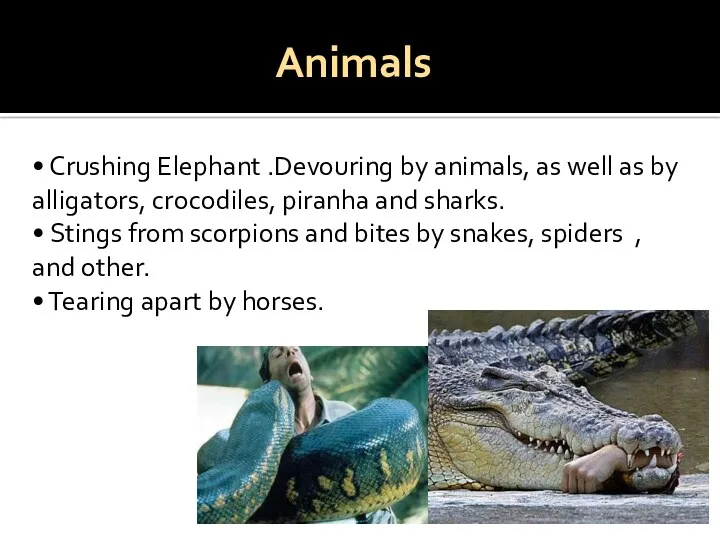 Animals • Crushing Elephant .Devouring by animals, as well as