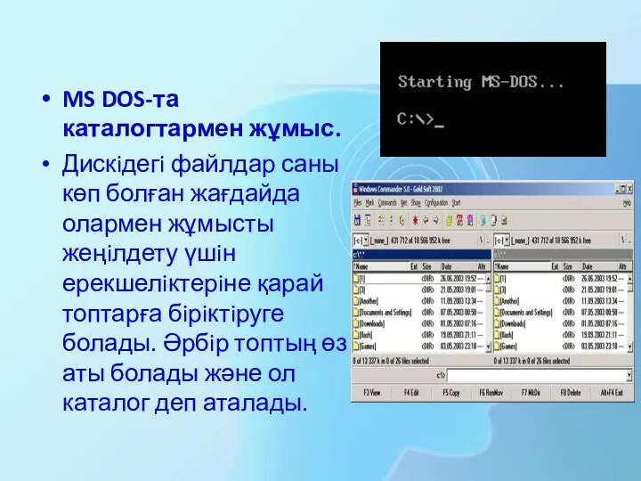 MS DOS-та каталогтармен жұмыс. Дискiдегi файлдар саны көп болған жағдайда