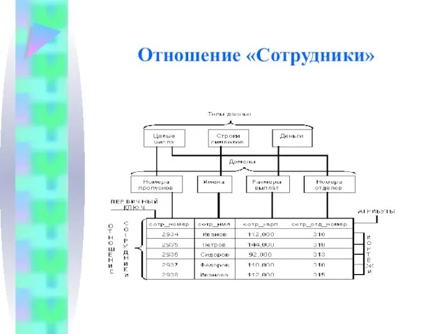 Отношение «Сотрудники»