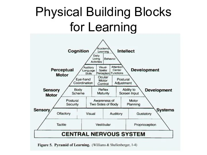 Physical Building Blocks for Learning