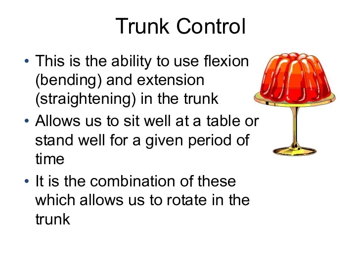 Trunk Control This is the ability to use flexion (bending)