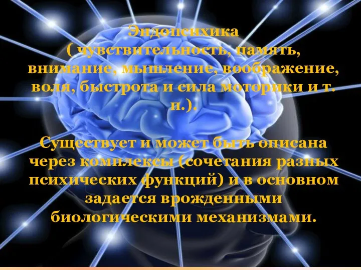 Эндопсихика ( чувствительность, память, внимание, мышление, воображение, воля, быстрота и сила моторики и