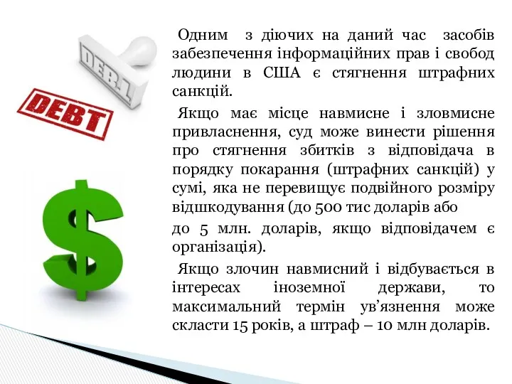 Одним з діючих на даний час засобів забезпечення інформаційних прав