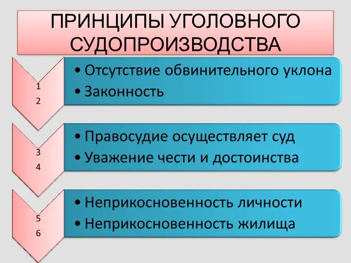 ПРИНЦИПЫ УГОЛОВНОГО СУДОПРОИЗВОДСТВА