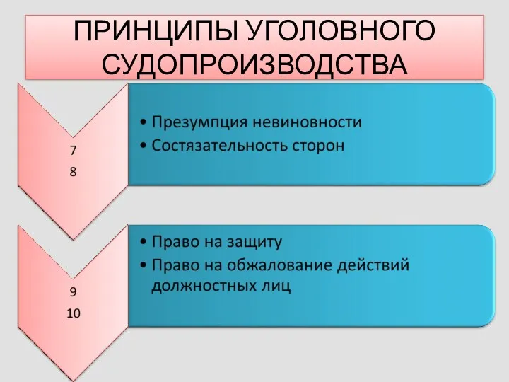 ПРИНЦИПЫ УГОЛОВНОГО СУДОПРОИЗВОДСТВА