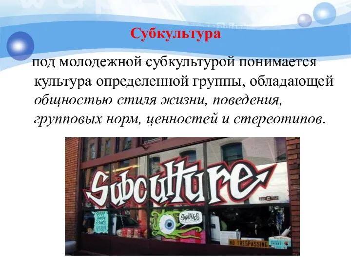 Субкультура под молодежной субкультурой понимается культура определенной группы, обладающей общностью