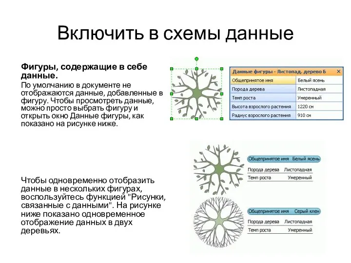 Включить в схемы данные Фигуры, содержащие в себе данные. По