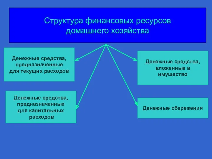 Структура финансовых ресурсов домашнего хозяйства Денежные средства, предназначенные для текущих