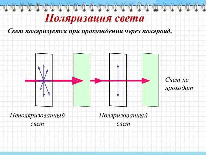 Поляризация света Свет поляризуется при прохождении через поляроид. Неполяризованный свет Поляризованный свет