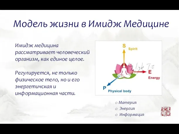 Модель жизни в Имидж Медицине Материя Энергия Информация Имидж медицина
