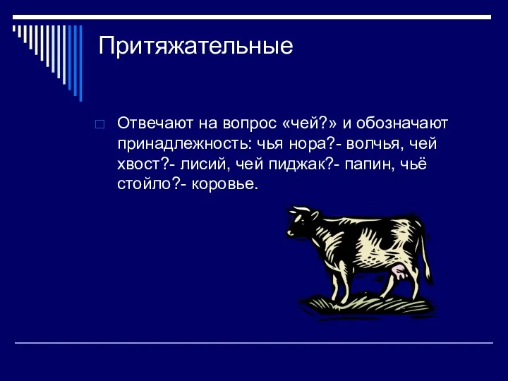 Притяжательные Отвечают на вопрос «чей?» и обозначают принадлежность: чья нора?-