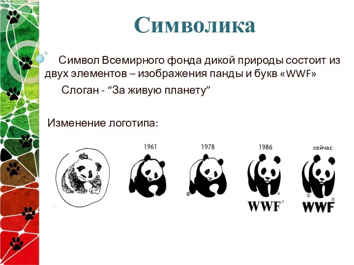 Символика Символ Всемирного фонда дикой природы состоит из двух элементов – изображения панды