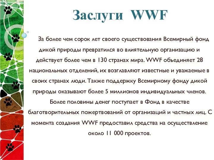 Заслуги WWF За более чем сорок лет своего существования Всемирный