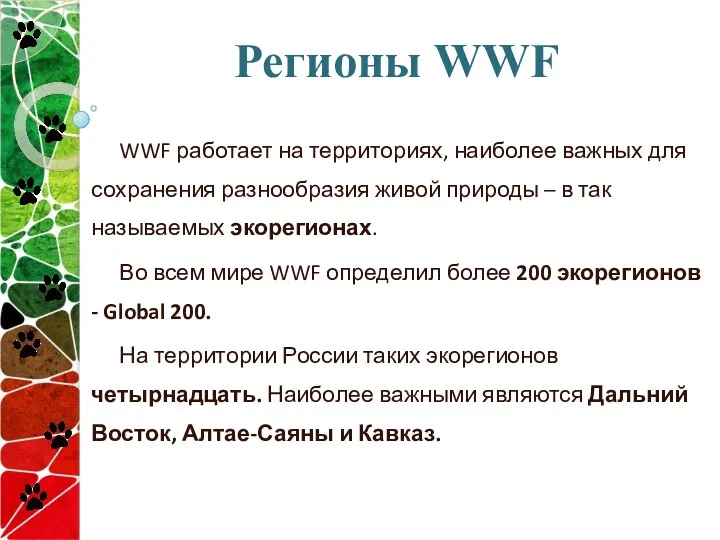 Регионы WWF WWF работает на территориях, наиболее важных для сохранения