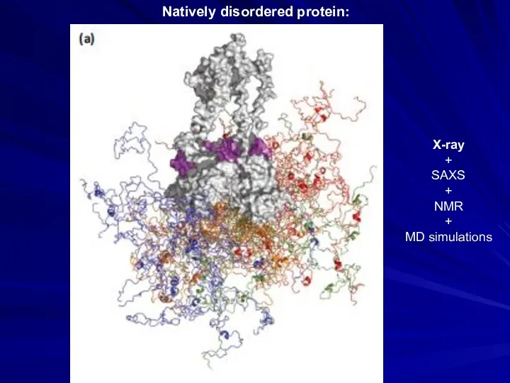 Natively disordered protein: X-ray + SAXS + NMR + MD simulations