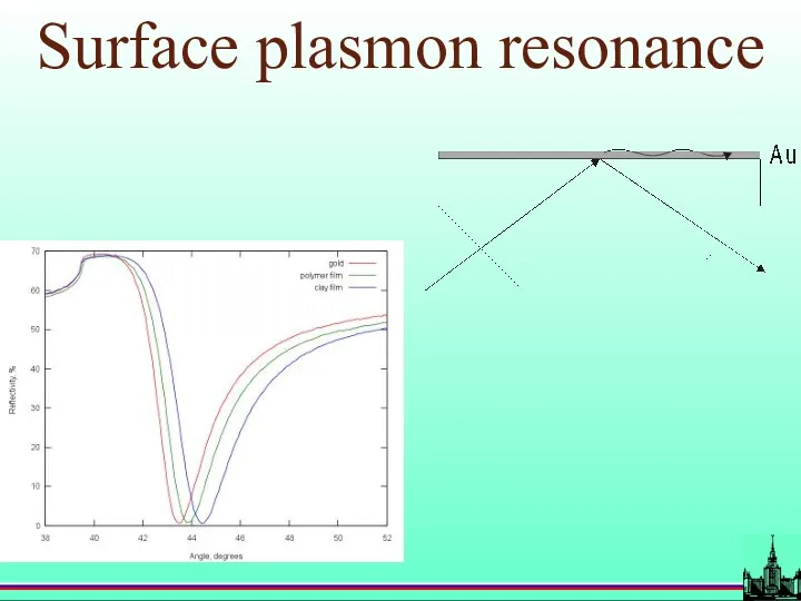 Surface plasmon resonance