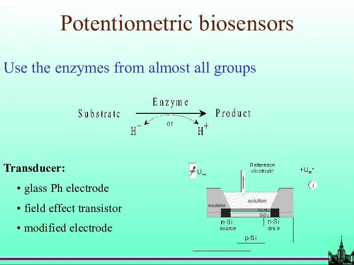 Potentiometric biosensors Use the enzymes from almost all groups Transducer: