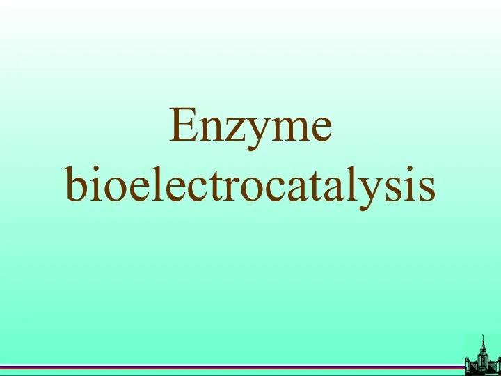 Enzyme bioelectrocatalysis