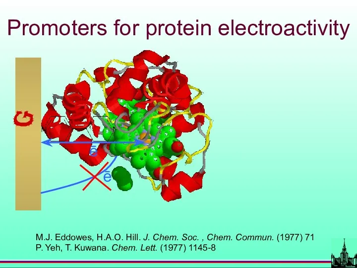 Promoters for protein electroactivity M.J. Eddowes, H.A.O. Hill. J. Chem.