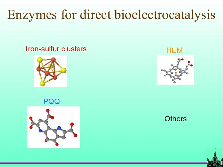 Enzymes for direct bioelectrocatalysis Others