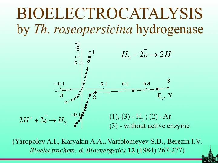 BIOELECTROCATALYSIS by Th. roseopersicina hydrogenase (1), (3) - H2 ;