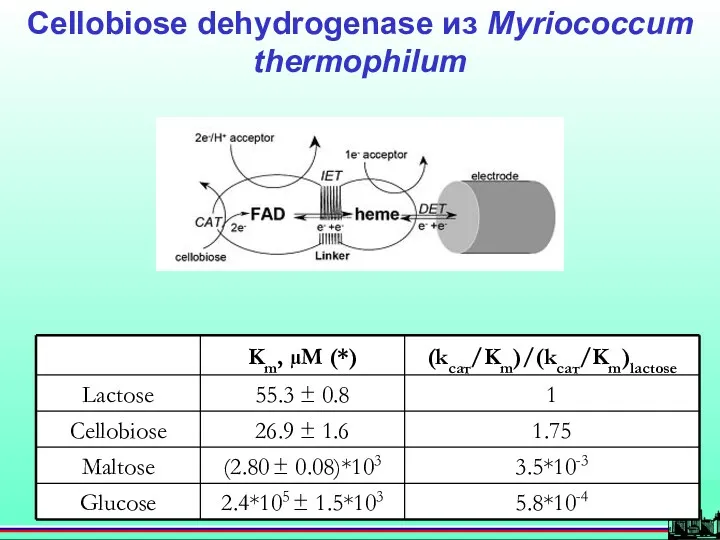 Cellobiose dehydrogenase из Myriococcum thermophilum