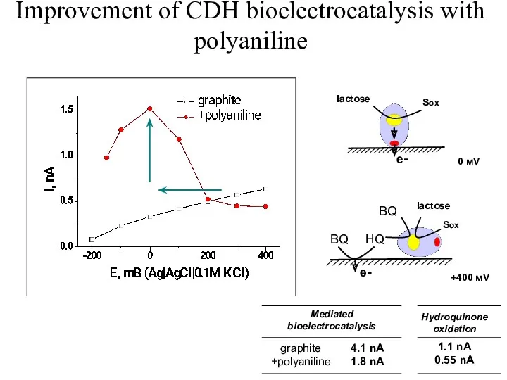 Improvement of CDH bioelectrocatalysis with polyaniline