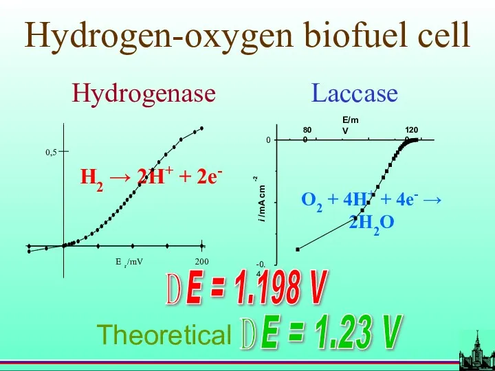 Hydrogen-oxygen biofuel cell