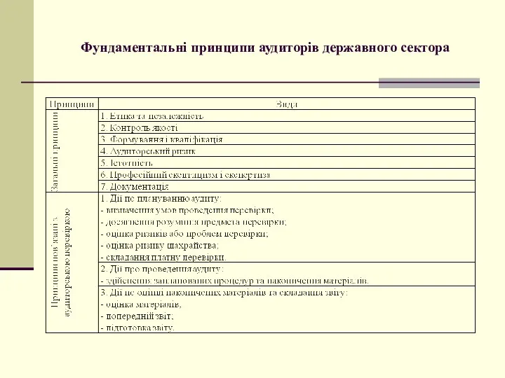 Фундаментальні принципи аудиторів державного сектора