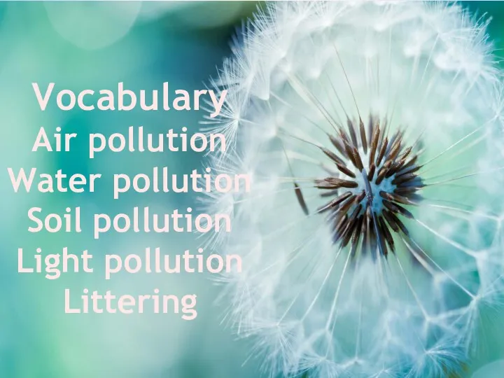 Vocabulary Air pollution Water pollution Soil pollution Light pollution Littering