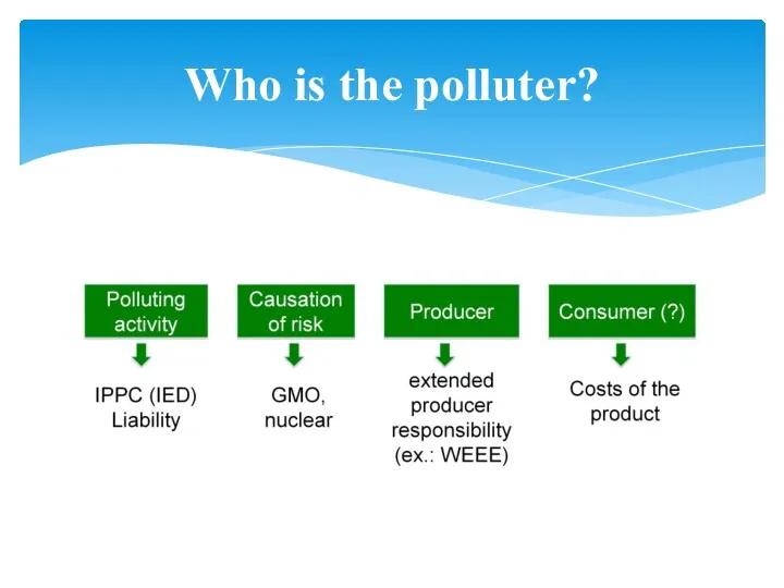 Who is the polluter?