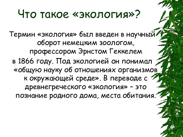 Что такое «экология»? Термин «экология» был введен в научный оборот