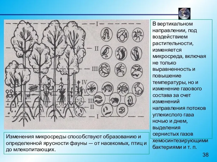 В вертикальном направлении, под воздействием растительности, изменяется микросреда, включая не