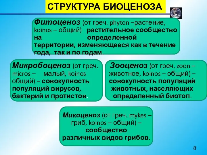 СТРУКТУРА БИОЦЕНОЗА