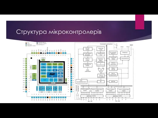 Структура мікроконтролерів