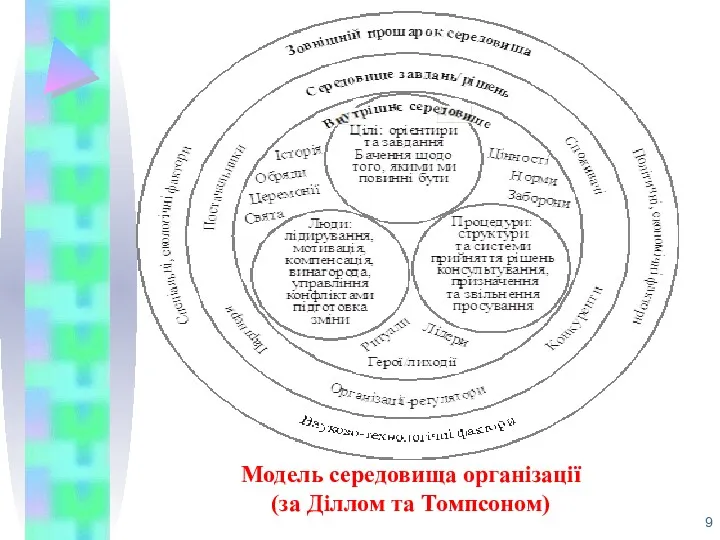 Модель середовища організації (за Діллом та Томпсоном)