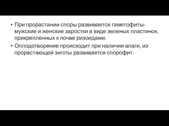 При прорастании споры развивается гаметофиты- мужские и женские заростки в виде зеленых пластинок,