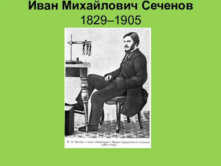 Иван Михайлович Сеченов 1829–1905