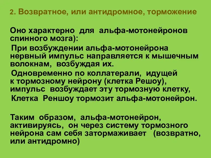 2. Возвратное, или антидромное, торможение Оно характерно для альфа-мотонейронов спинного