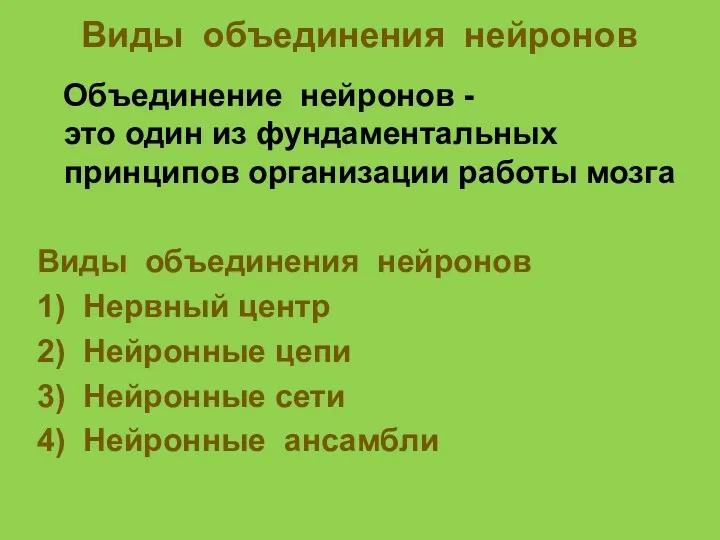 Виды объединения нейронов Объединение нейронов - это один из фундаментальных