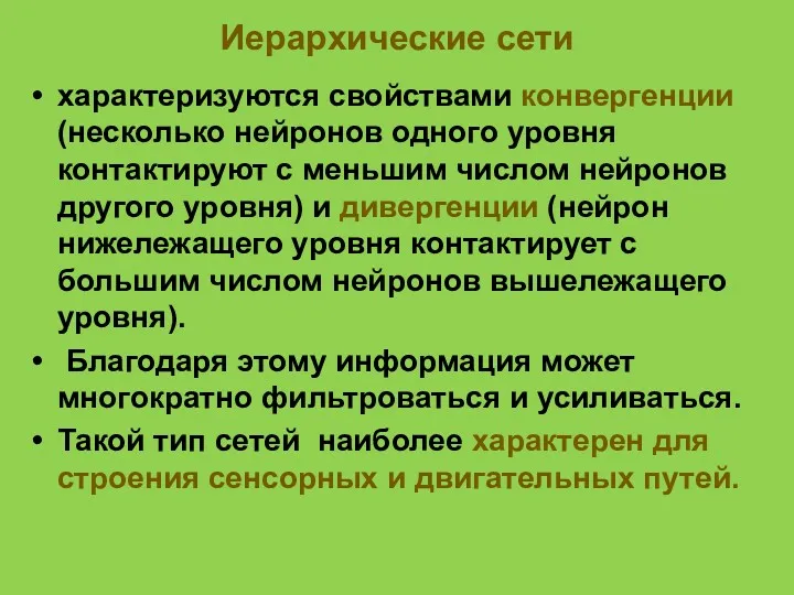 Иерархические сети характеризуются свойствами конвергенции (несколько нейронов одного уровня контактируют