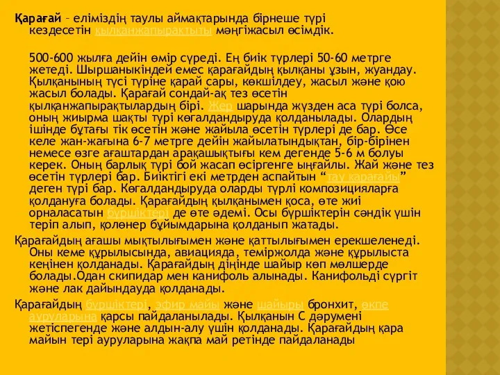 Қарағай – еліміздің таулы аймақтарында бірнеше түрі кездесетін қылқанжапырақтыты мәңгіжасыл