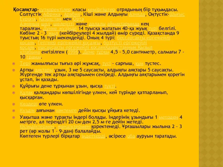 Қосаяқтар-сүтқоректілер класы кеміргіштер отрядының бір тұқымдасы. Солтүстік Африка, Арабия, Кіші