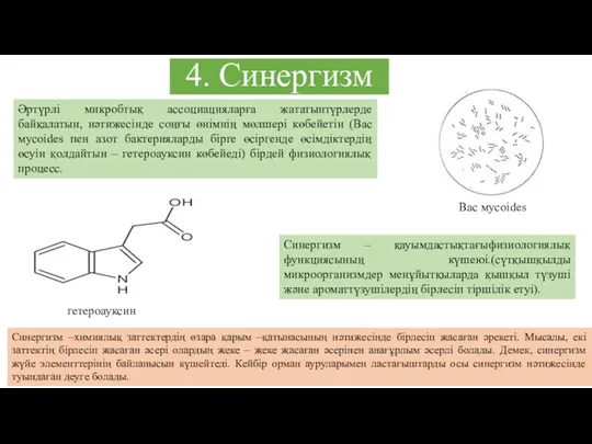 4. Синергизм Әртүрлі микробтық ассоциацияларға жататынтүрлерде байқалатын, нәтижесінде соңғы өнімнің